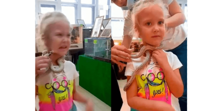 A 5-year-old girl was bitten by a snake