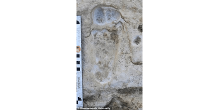 US Park surprised human footprints 23000 years ago, or the earliest evidence of human activities in 